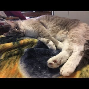 Meet your Posher, Mariah